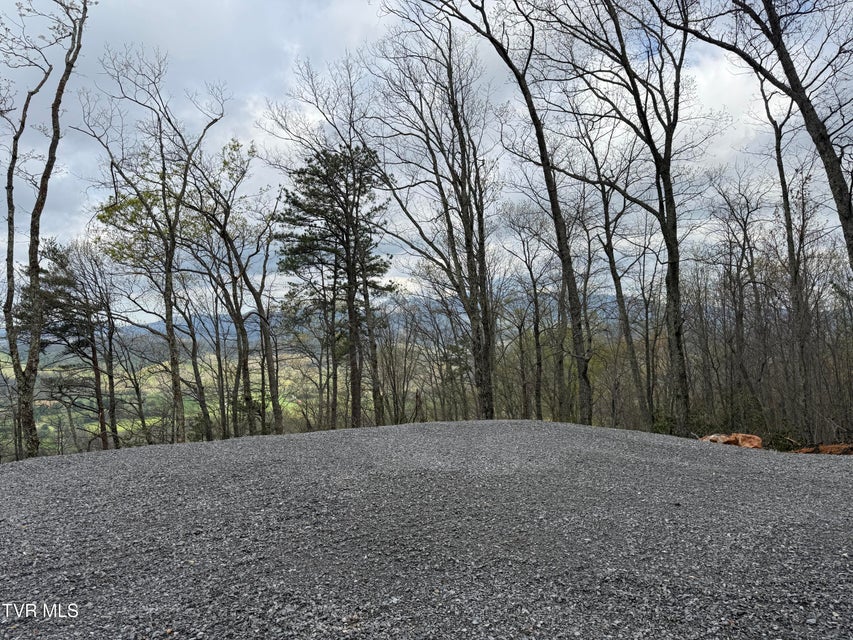 Photo #2: 3.93 Acres Green Forest Road