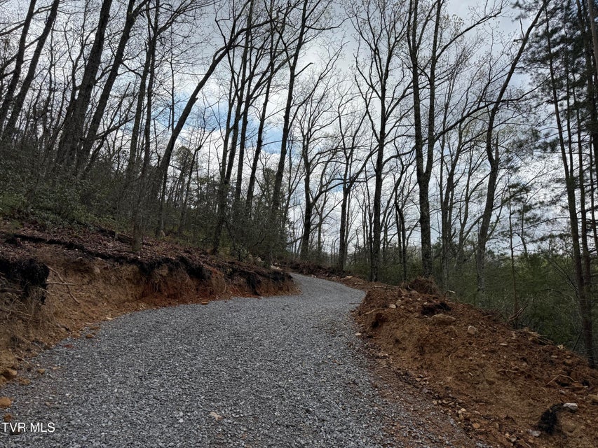 Photo #14: 3.93 Acres Green Forest Road