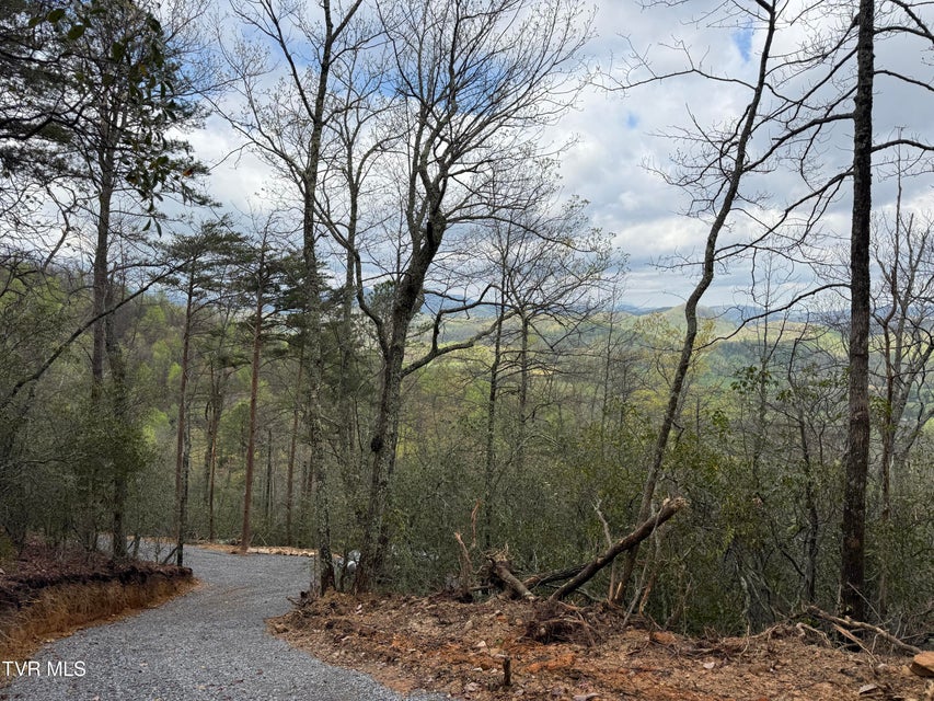 Photo #15: 3.93 Acres Green Forest Road