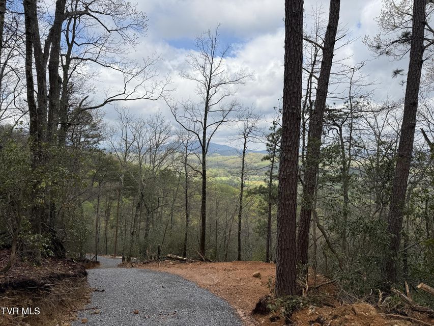 Photo #16: 3.93 Acres Green Forest Road