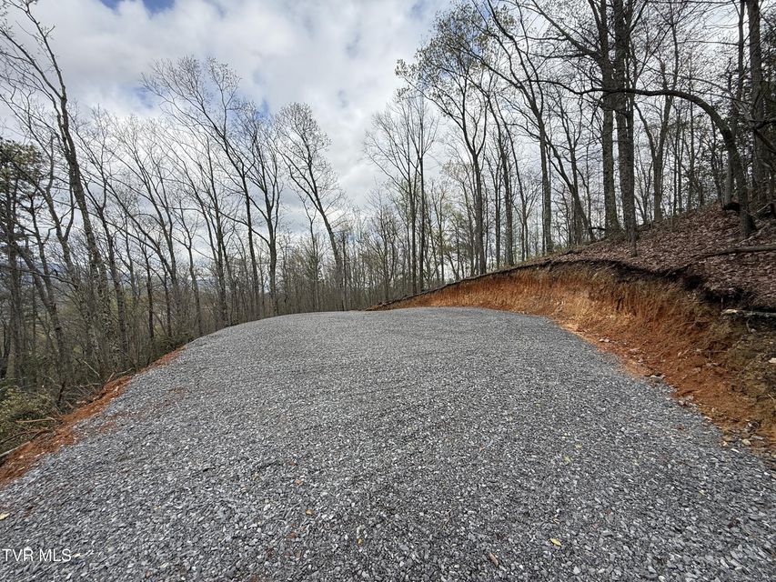 Photo #17: 3.93 Acres Green Forest Road