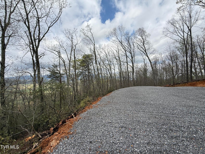 Photo #18: 3.93 Acres Green Forest Road