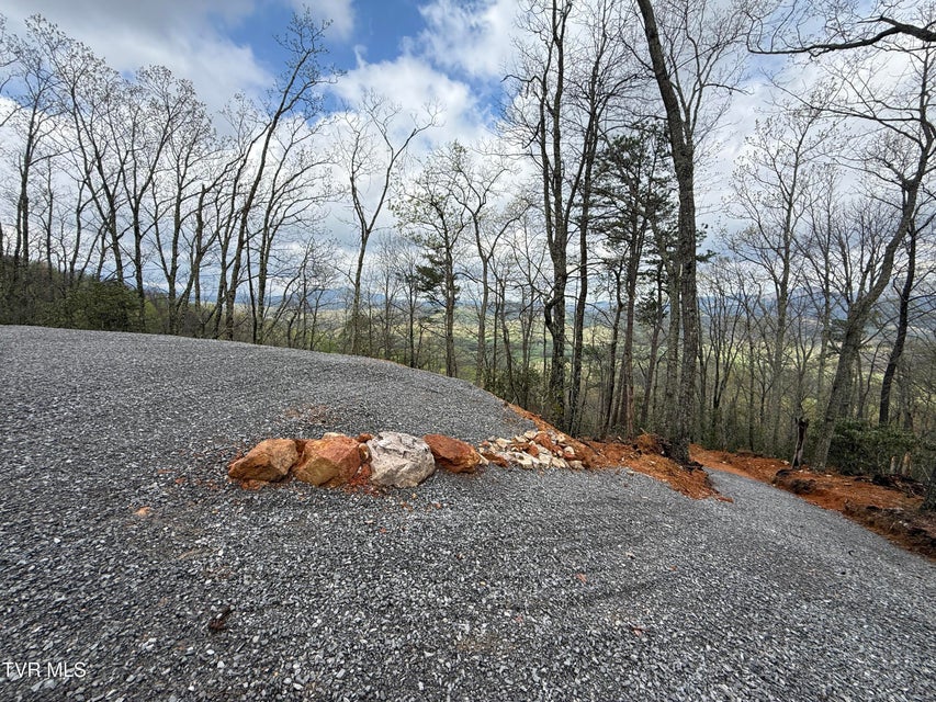 Photo #19: 3.93 Acres Green Forest Road