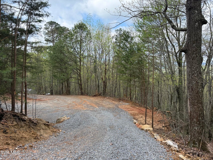 Photo #20: 3.93 Acres Green Forest Road
