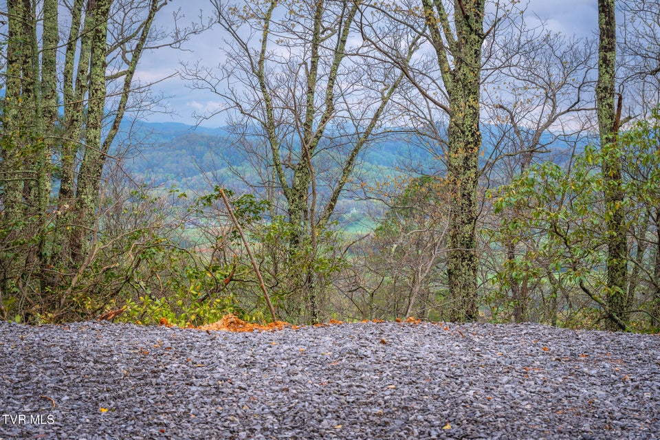 Photo #21: 3.93 Acres Green Forest Road