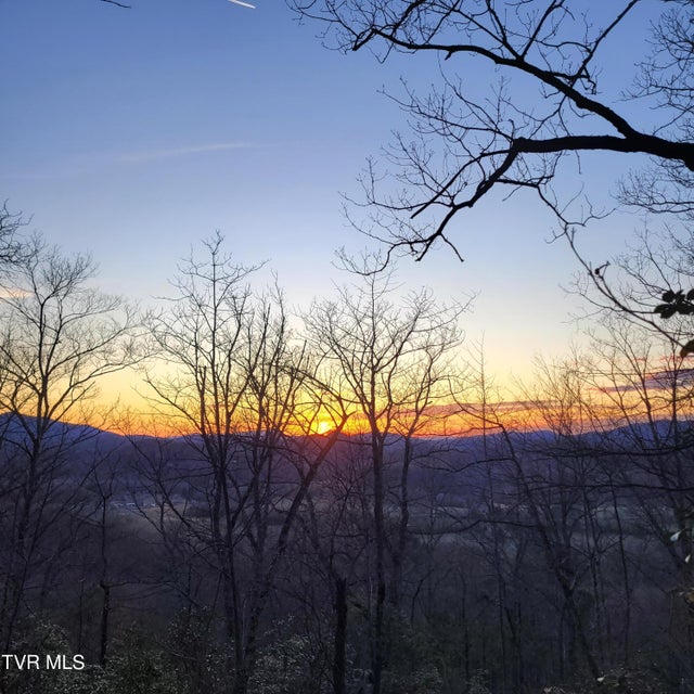 Photo #22: 3.93 Acres Green Forest Road