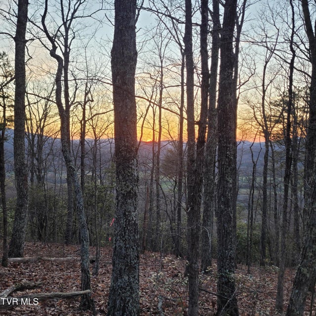 Photo #23: 3.93 Acres Green Forest Road