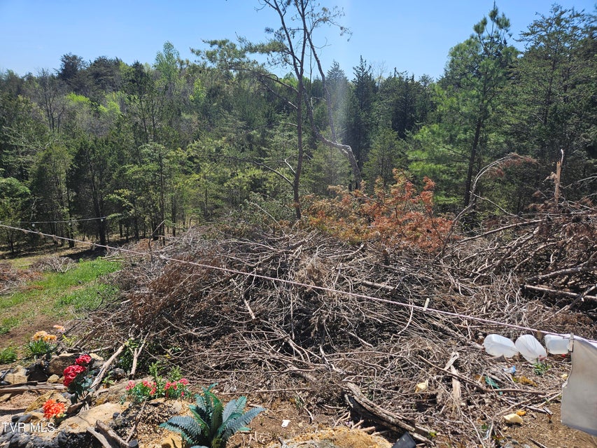 Photo #9: 359 Buzzard Roost Rd