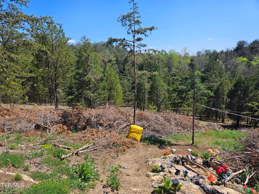 Photo #6: 359 Buzzard Roost Rd