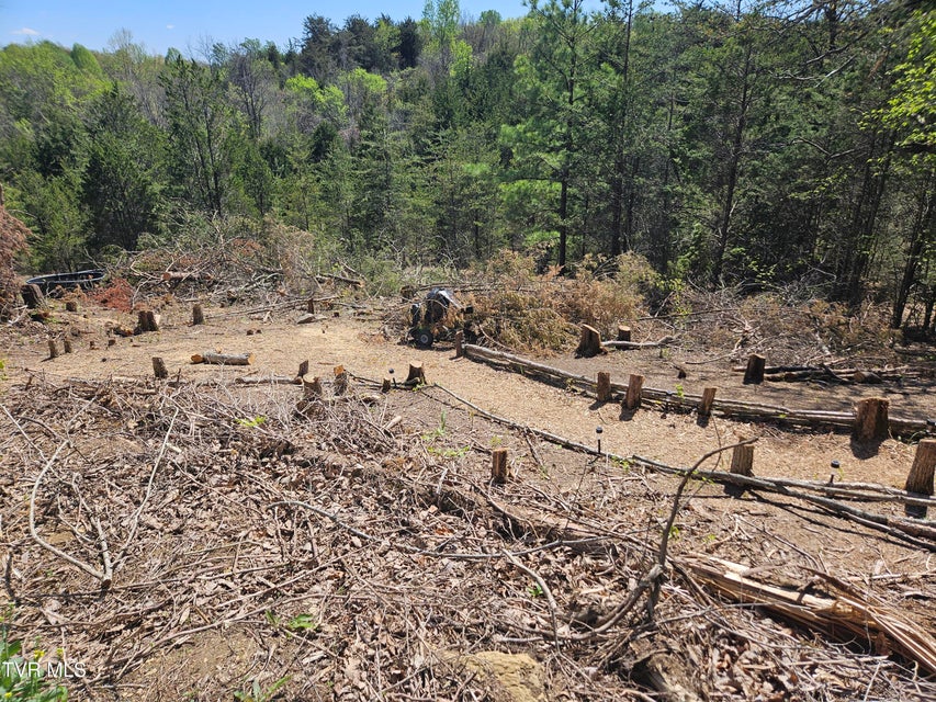 Photo #8: 359 Buzzard Roost Rd