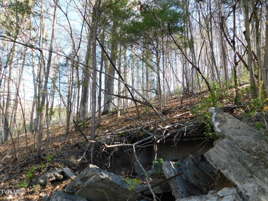 Photo #19: 440 Big Hill Road