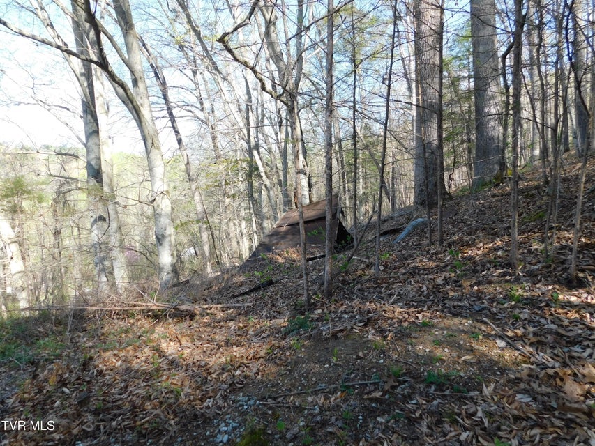 Photo #20: 440 Big Hill Road