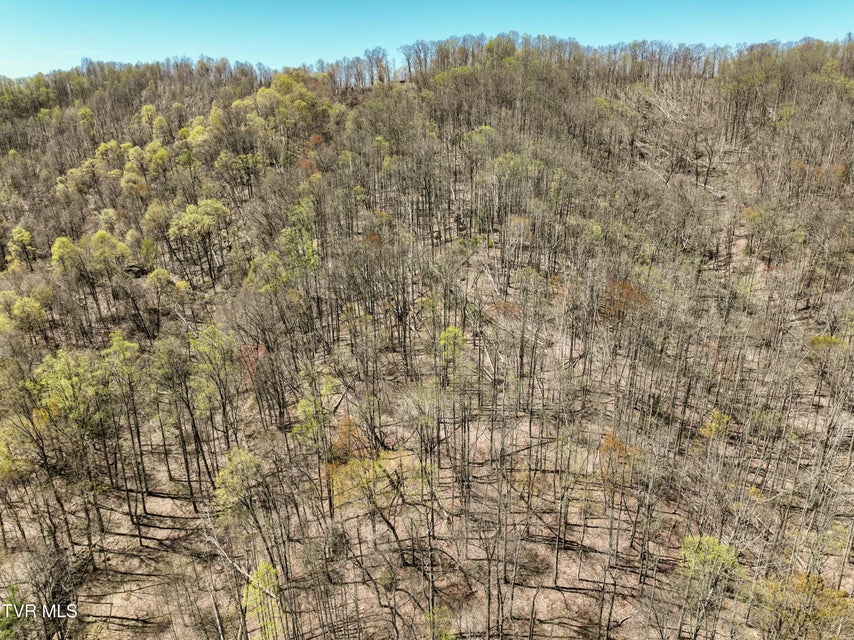 Photo #7: Tbd Cliff Mountain Way
