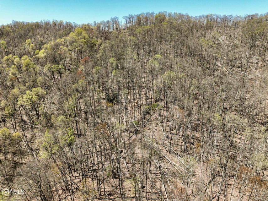 Photo #8: Tbd Cliff Mountain Way