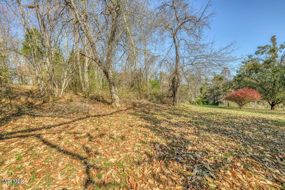 Photo #40: 173 Hickory Hills Road