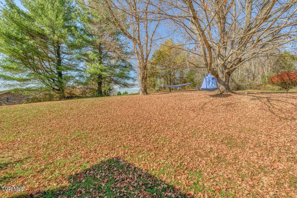 Photo #34: 173 Hickory Hills Road