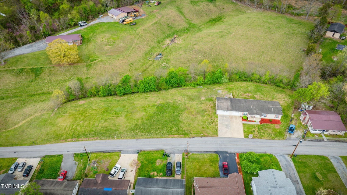 Photo #29: 2847 Carrollwood Heights Road