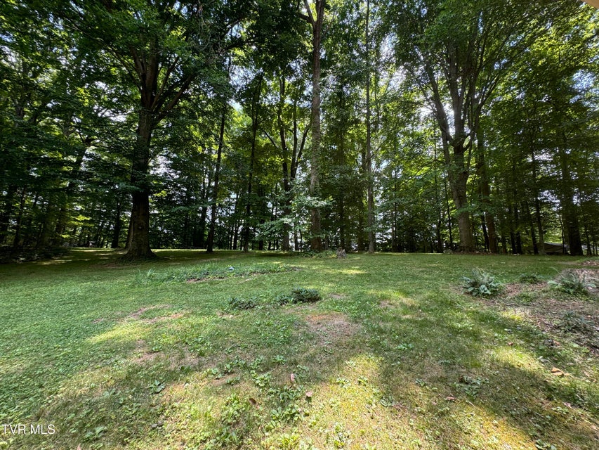 Photo #19: 355 Holston Drive