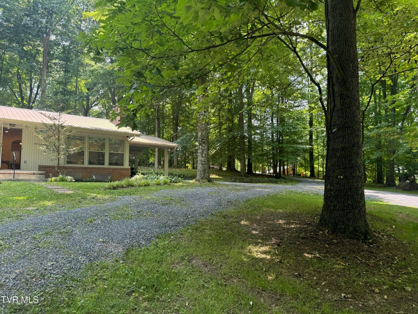 Photo #46: 355 Holston Drive