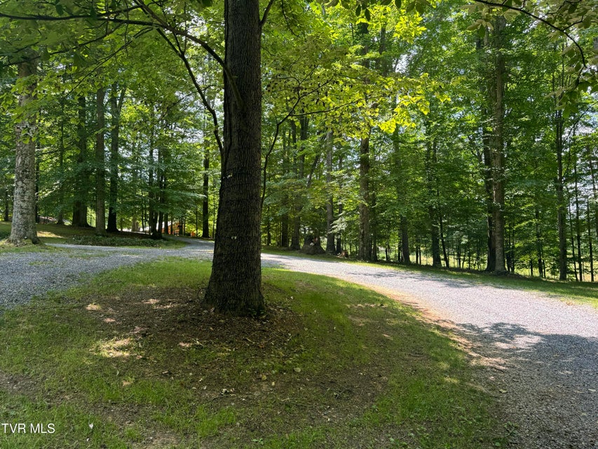 Photo #47: 355 Holston Drive