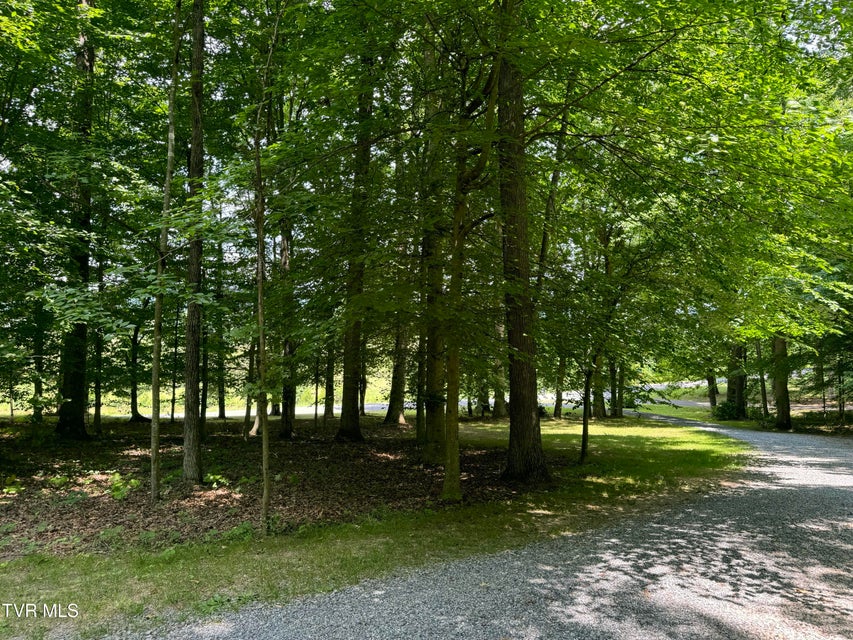 Photo #49: 355 Holston Drive