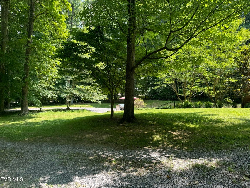 Photo #48: 355 Holston Drive