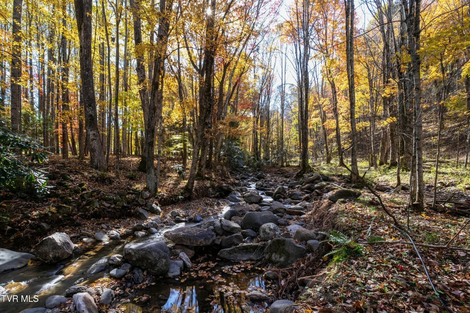 Photo #15: 140 Doe Lane