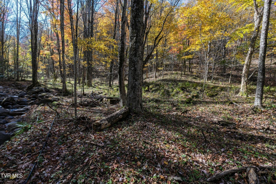 Photo #16: 140 Doe Lane