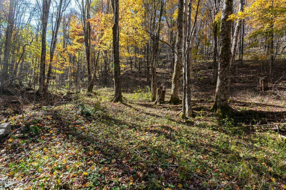 Photo #17: 140 Doe Lane
