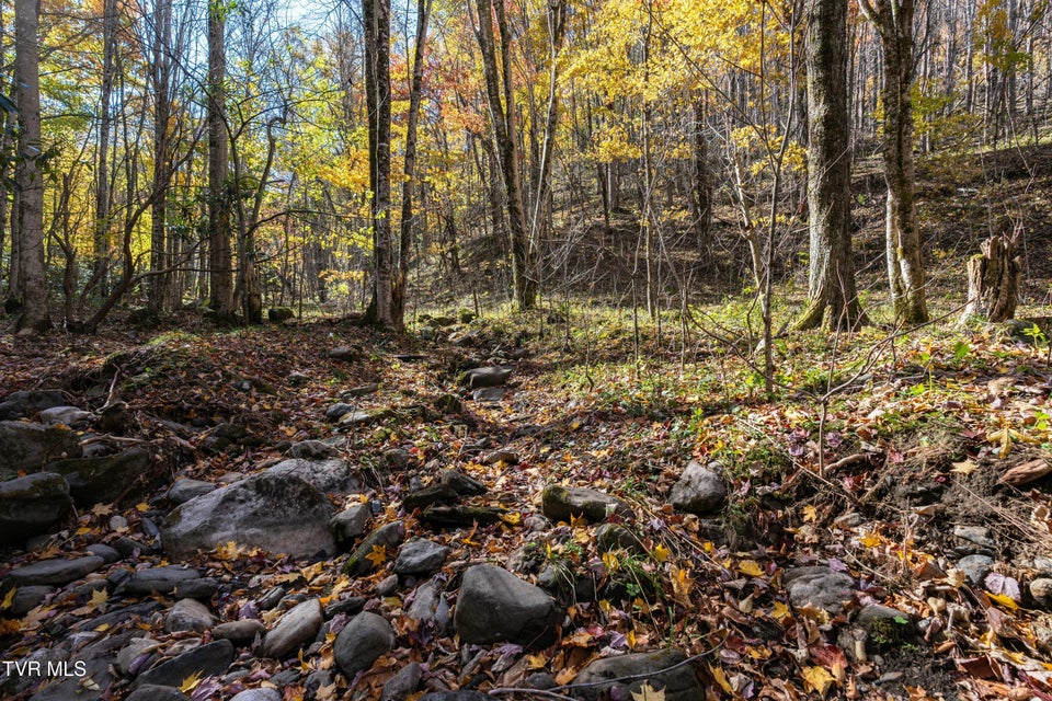 Photo #18: 140 Doe Lane