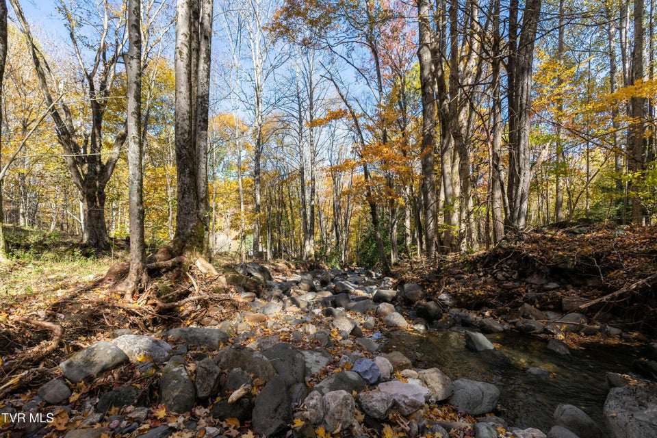 Photo #19: 140 Doe Lane