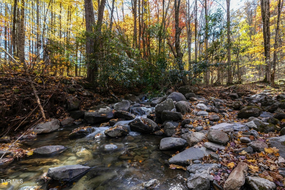 Photo #20: 140 Doe Lane
