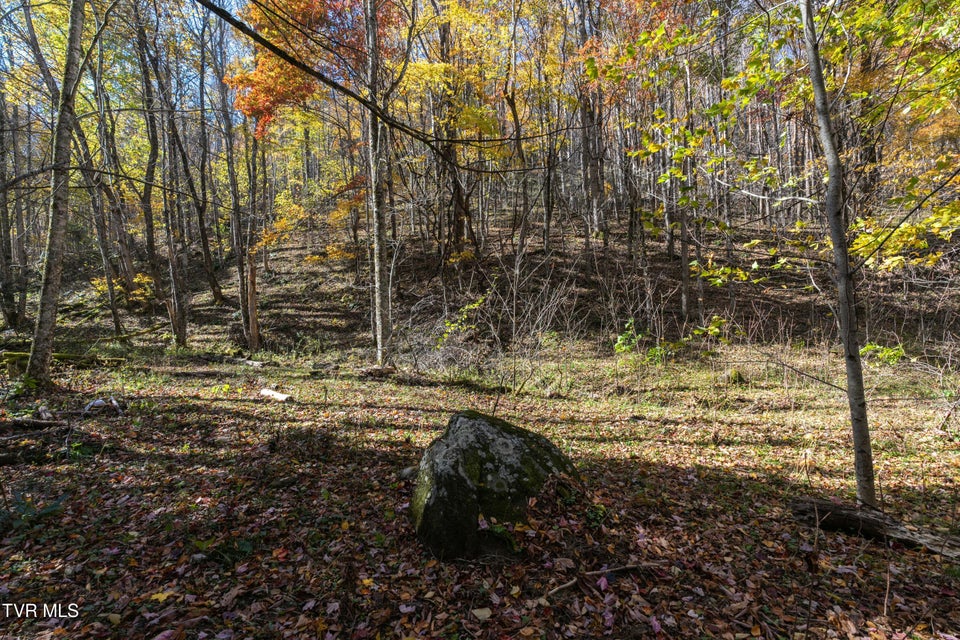 Photo #21: 140 Doe Lane