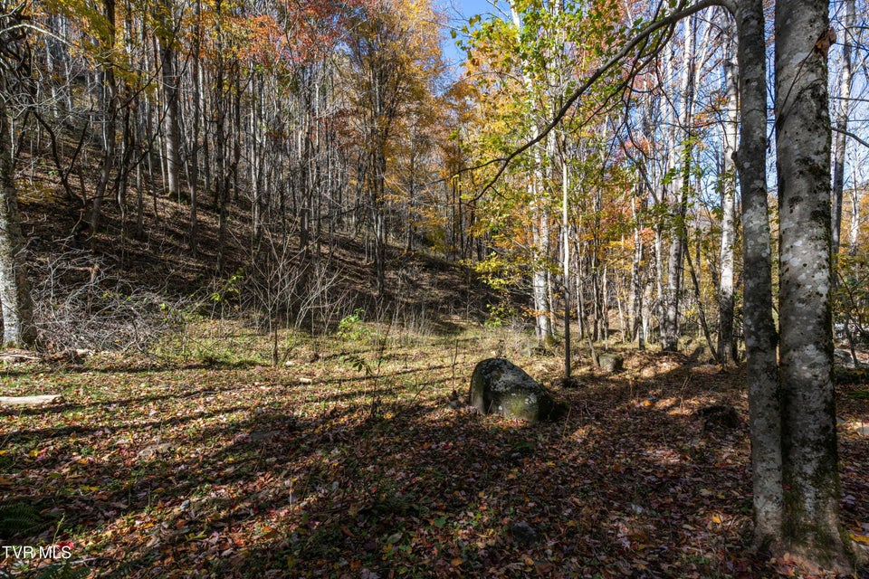 Photo #24: 140 Doe Lane