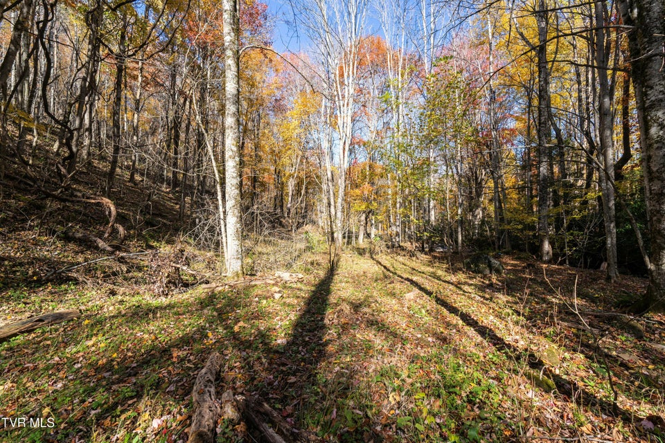 Photo #26: 140 Doe Lane