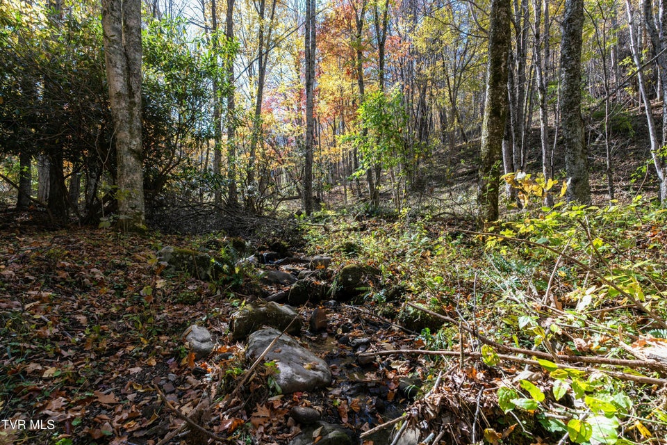 Photo #28: 140 Doe Lane