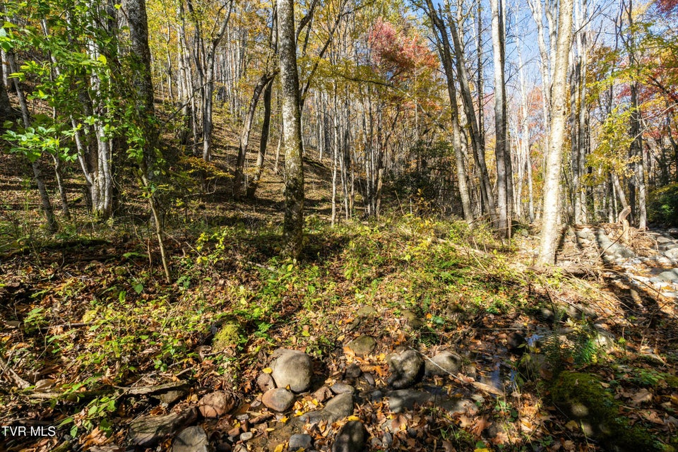 Photo #29: 140 Doe Lane