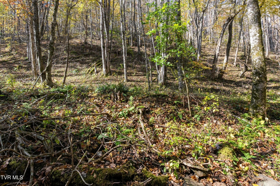 Photo #30: 140 Doe Lane