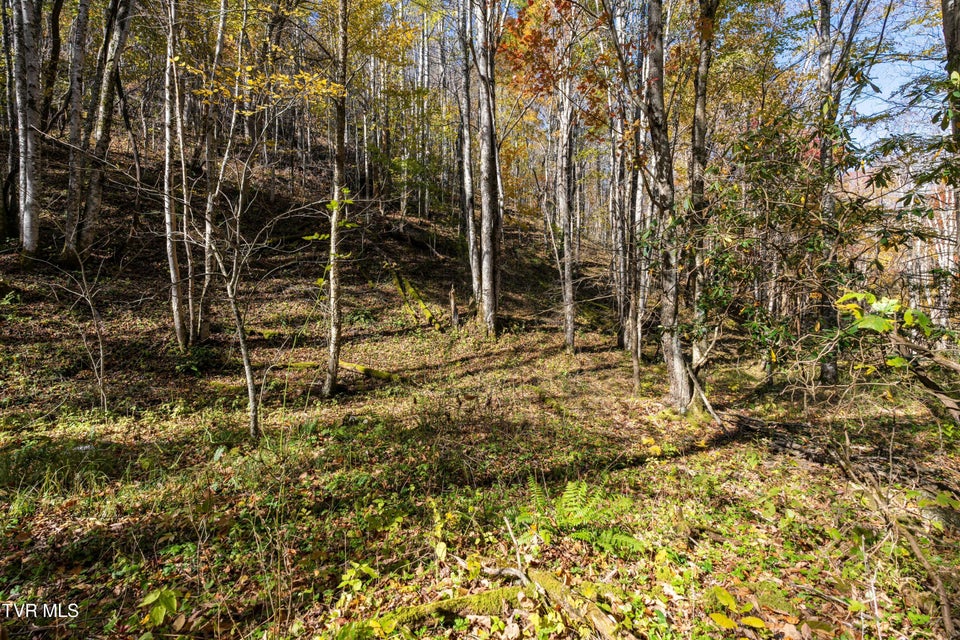 Photo #31: 140 Doe Lane