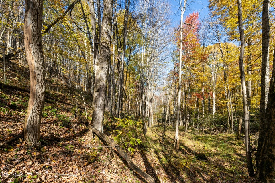 Photo #34: 140 Doe Lane