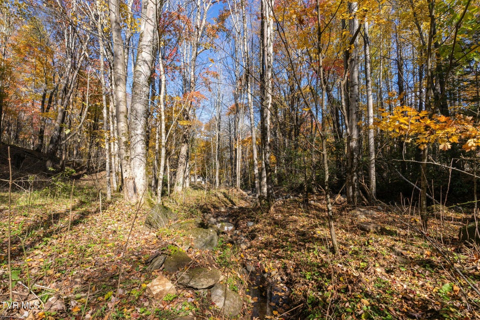Photo #38: 140 Doe Lane