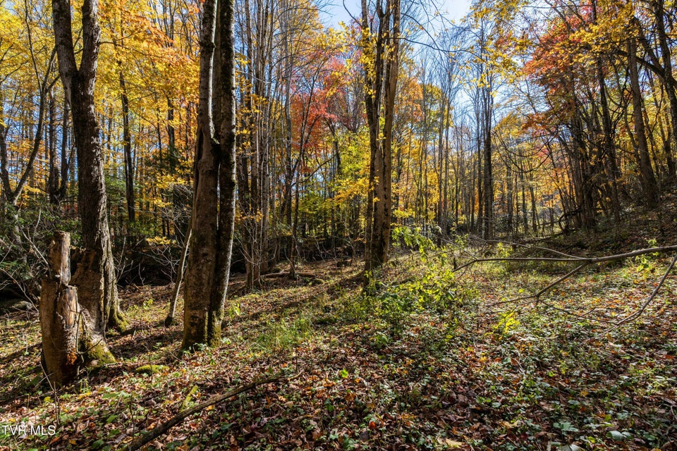 Photo #42: 140 Doe Lane