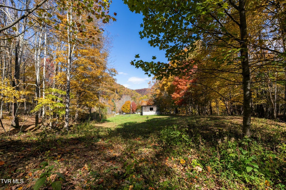 Photo #43: 140 Doe Lane