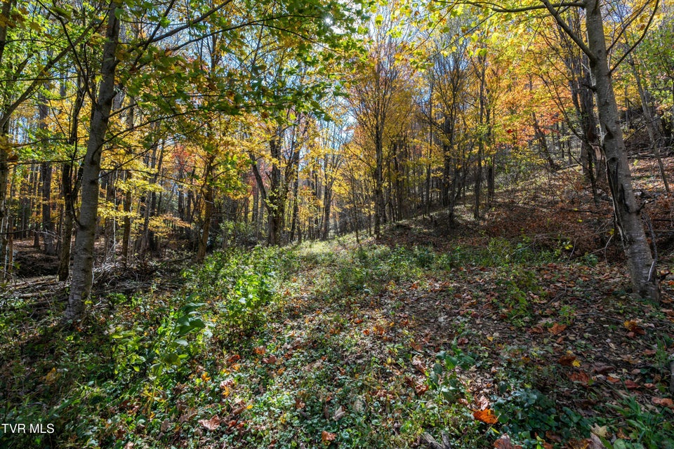 Photo #44: 140 Doe Lane