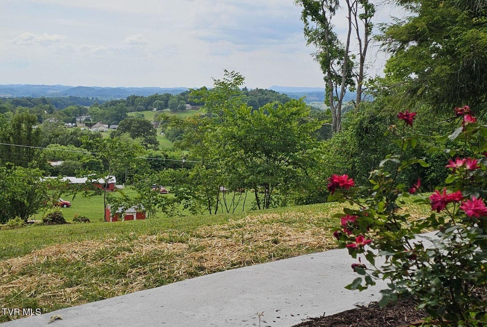 Photo #48: 368 New Hope Road