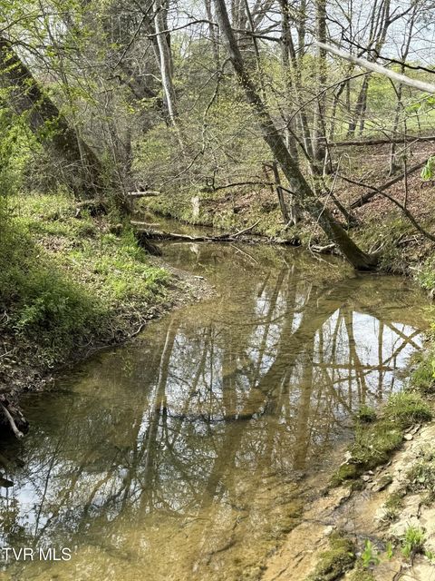 Photo #6: 0 Long Town Road