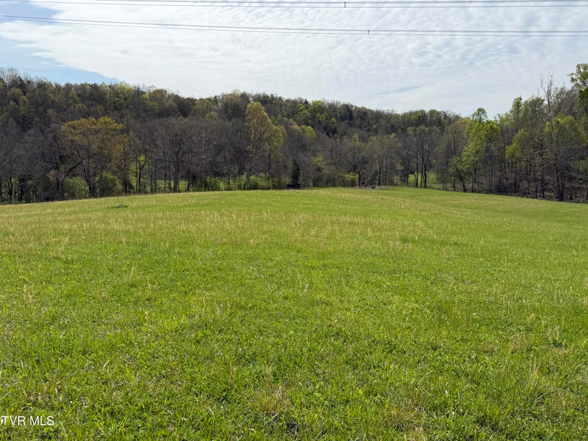 Photo #21: 0 Long Town Road