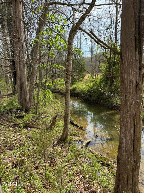 Photo #22: 0 Long Town Road