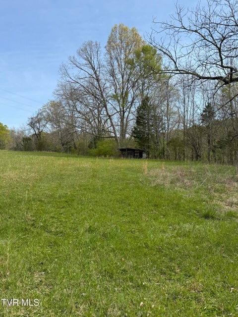 Photo #29: 0 Long Town Road