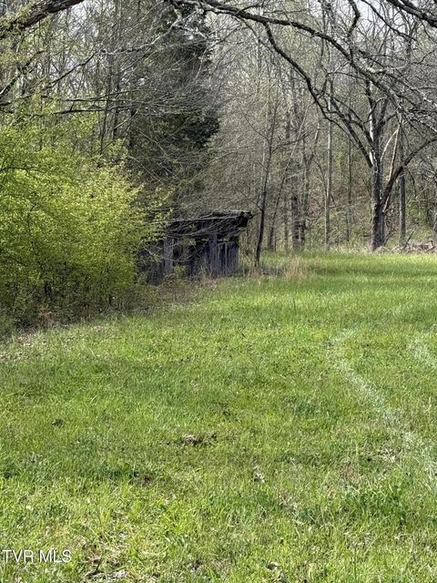 Photo #4: 0 Long Town Road